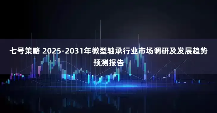 七号策略 2025-2031年微型轴承行业市场调研及发展趋势预测报告