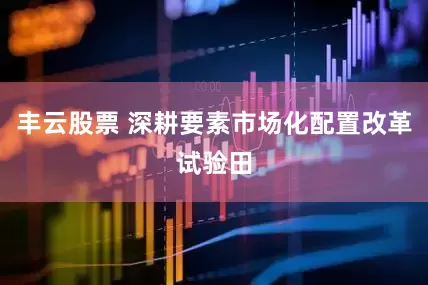 丰云股票 深耕要素市场化配置改革试验田