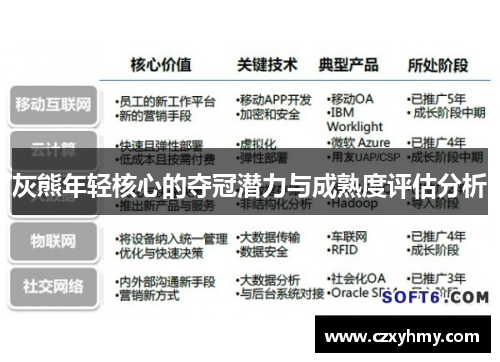 灰熊年轻核心的夺冠潜力与成熟度评估分析