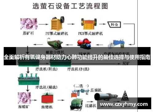 全面解析有氧健身器材助力心肺功能提升的最佳选择与使用指南